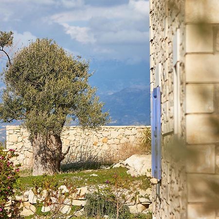 Orelia Cretan Deluxe Apartments Kamilari Bagian luar foto