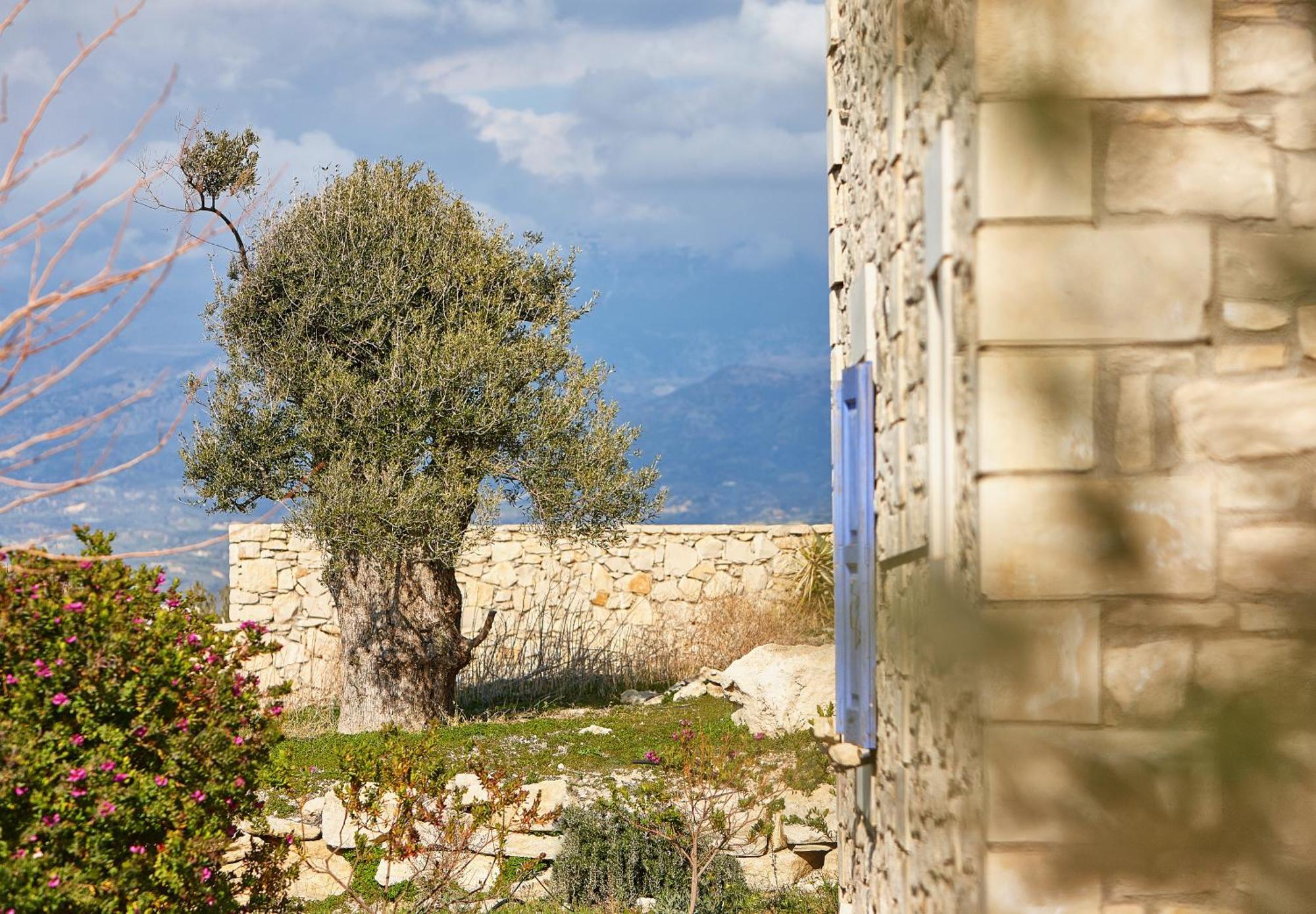 Orelia Cretan Deluxe Apartments Kamilari Bagian luar foto